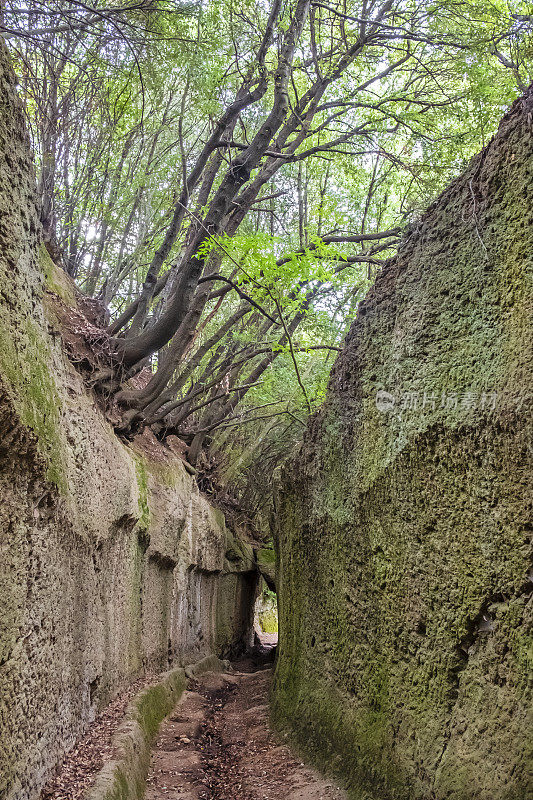 皮蒂利亚诺托斯卡纳的Vie Cave